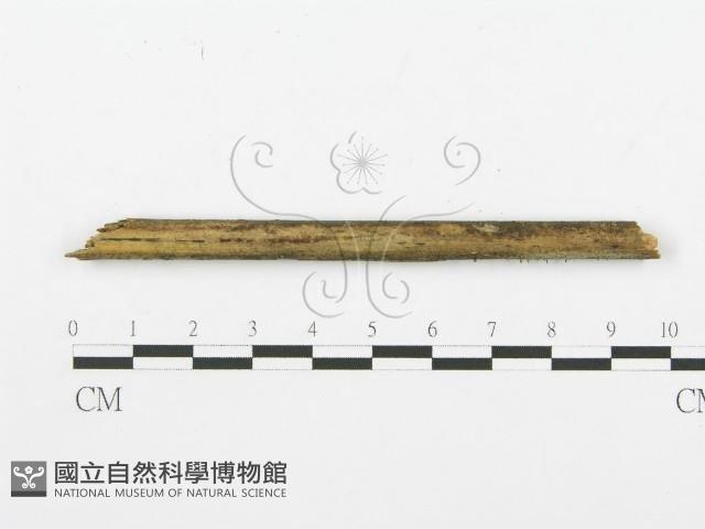 登錄號:F0013447藏品圖，第3張