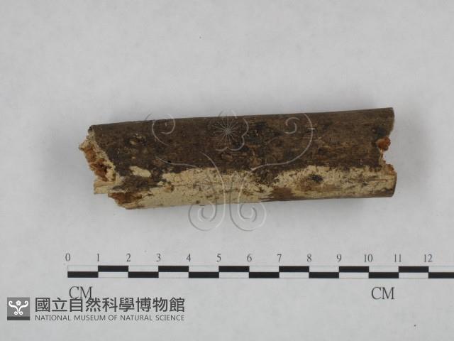 登錄號:F0021747藏品圖，第3張