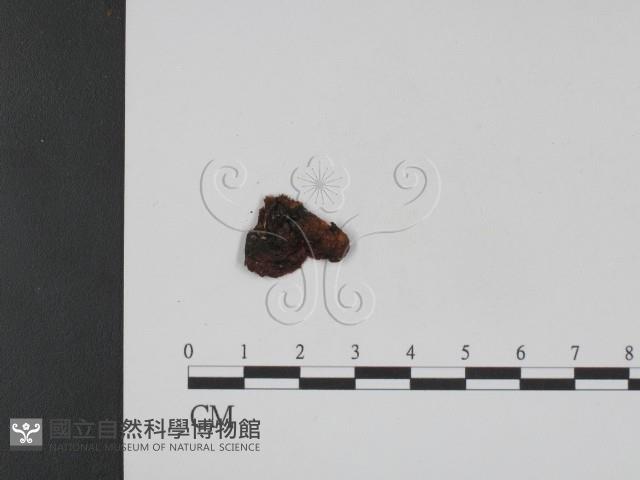 登錄號:F0007747藏品圖，第3張