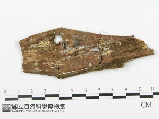 登錄號:F0005747藏品圖，第3張