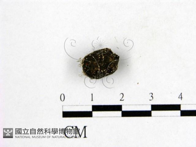 登錄號:F0004547藏品圖，第3張