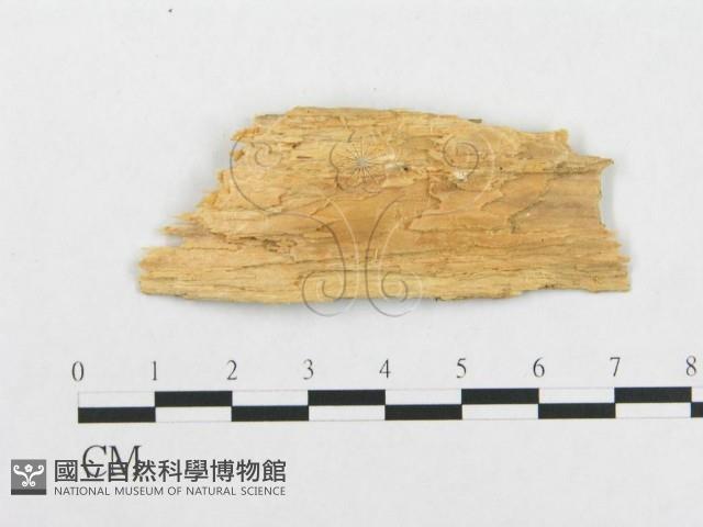 登錄號:F0008147藏品圖，第3張