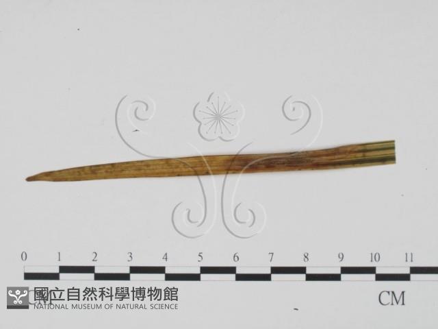 登錄號:F0010147藏品圖，第3張