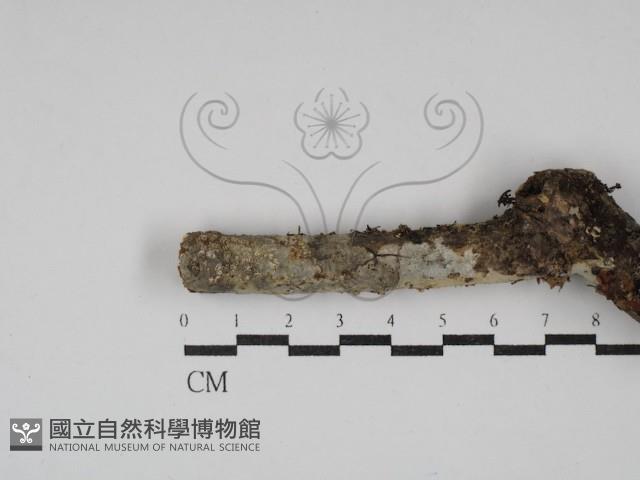 登錄號:F0030147藏品圖，第3張