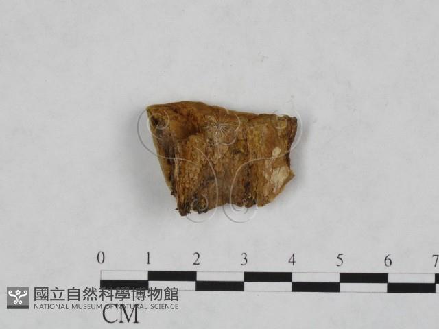 登錄號:F0006147藏品圖，第3張