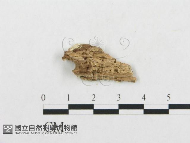 登錄號:F0007147藏品圖，第3張