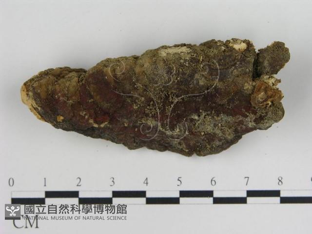 登錄號:F0016047藏品圖，第3張