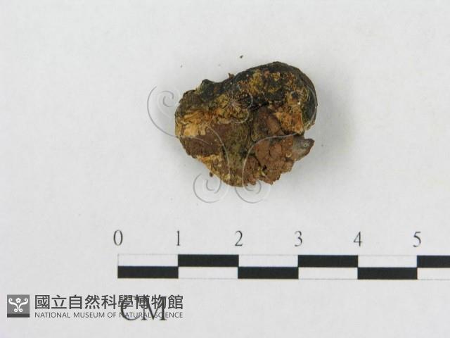 登錄號:F0002047藏品圖，第3張
