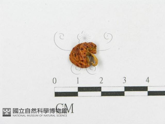 登錄號:F0003047藏品圖，第3張