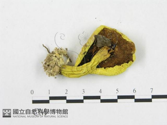 登錄號:F0008347藏品圖，第3張