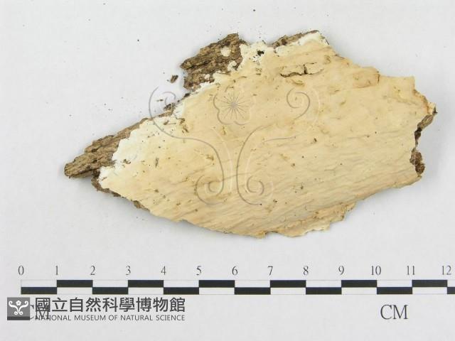 登錄號:F0020347藏品圖，第3張