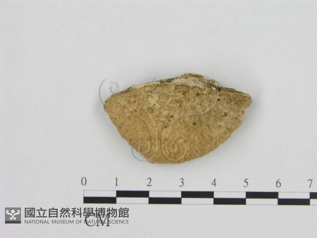 登錄號:F0001347藏品圖，第3張