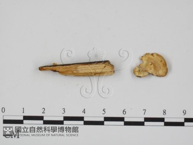 登錄號:F0007347藏品圖，第3張