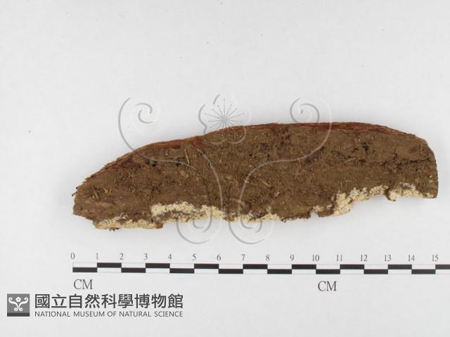 登錄號:F0026837藏品圖，第3張