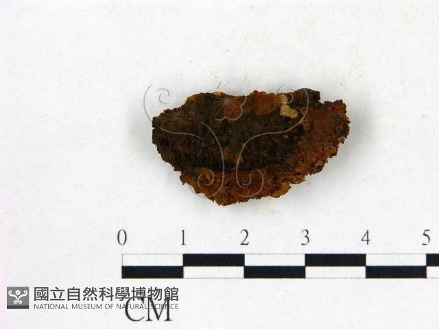 登錄號:F0006837藏品圖，第3張