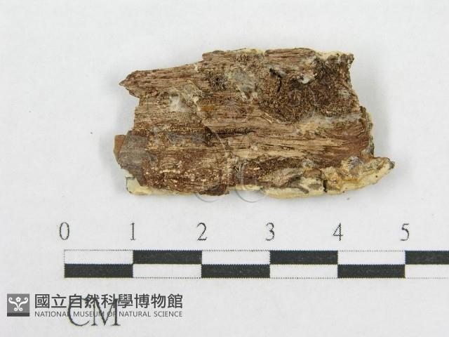 登錄號:F0016837藏品圖，第3張
