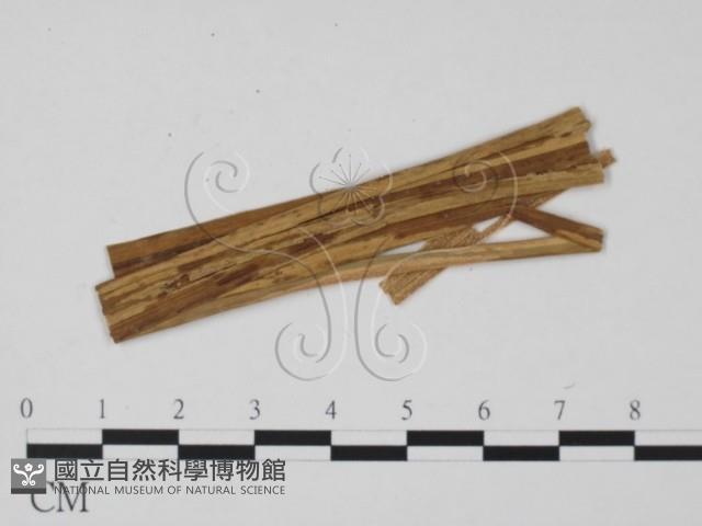 登錄號:F0011837藏品圖，第3張