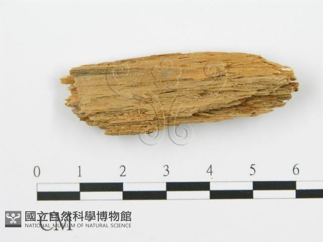 登錄號:F0017837藏品圖，第3張