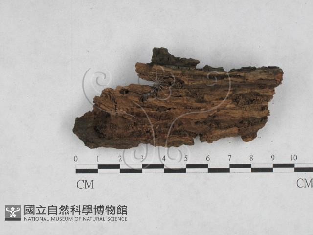 登錄號:F0027937藏品圖，第1張