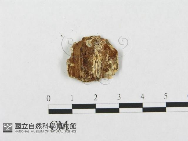 登錄號:F0005937藏品圖，第3張