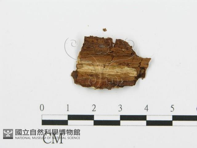 登錄號:F0013937藏品圖，第3張