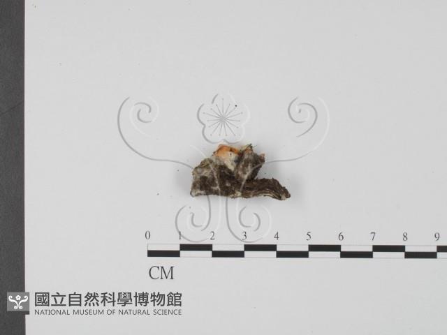 登錄號:F0019737藏品圖，第3張