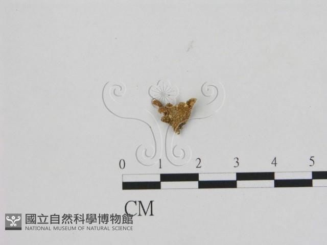 登錄號:F0008537藏品圖，第3張