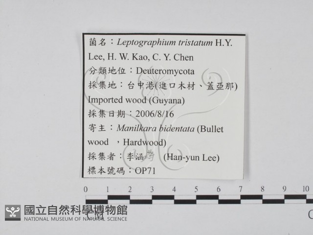 登錄號:F0022137藏品圖，第3張