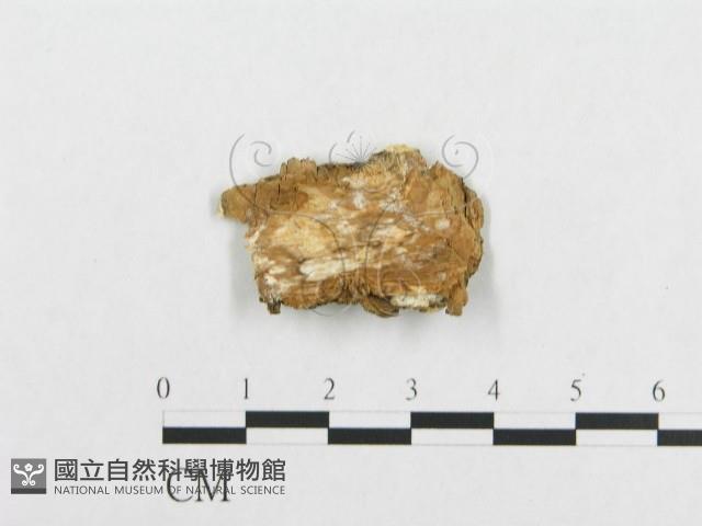 登錄號:F0007137藏品圖，第3張