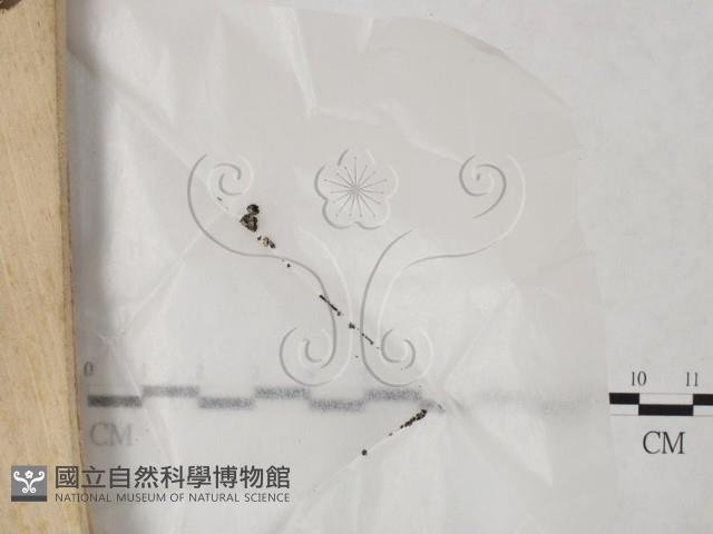 登錄號:F0024037藏品圖，第3張