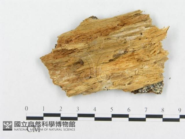 登錄號:F0014037藏品圖，第3張