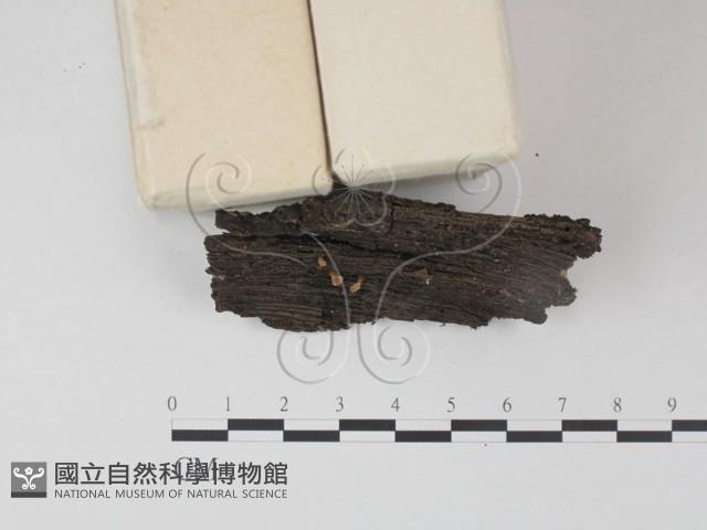 登錄號:F0003037藏品圖，第3張