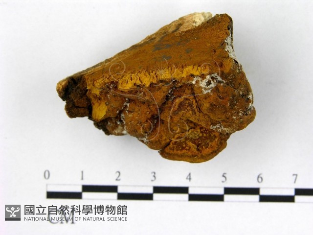 登錄號:F0006277藏品圖，第3張