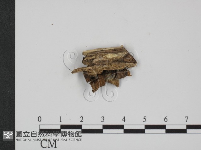 登錄號:F0014277藏品圖，第3張