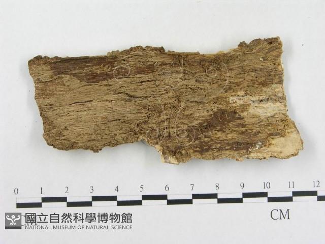 登錄號:F0015277藏品圖，第3張