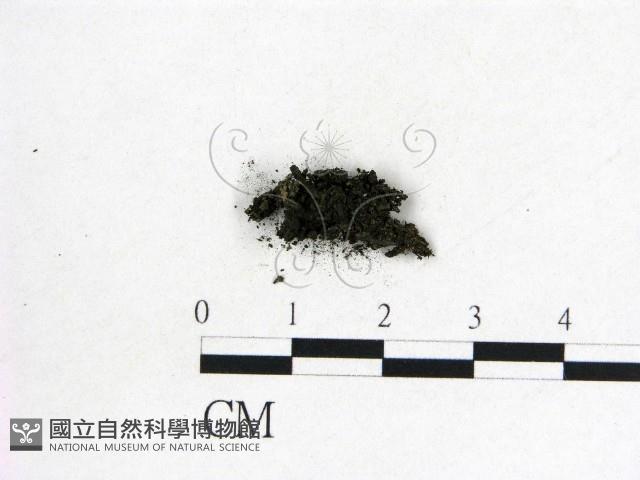 登錄號:F0012877藏品圖，第3張