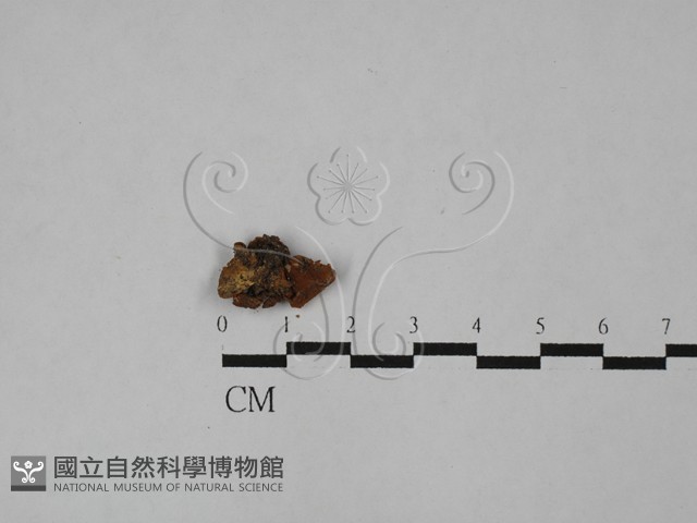 登錄號:F0028977藏品圖，第3張