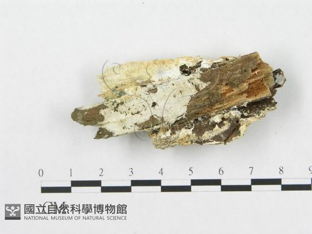 登錄號:F0016977藏品圖，第3張