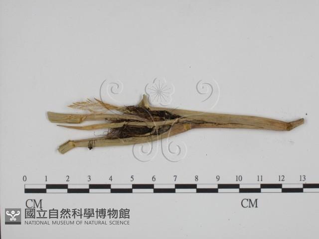 登錄號:F0011977藏品圖，第3張