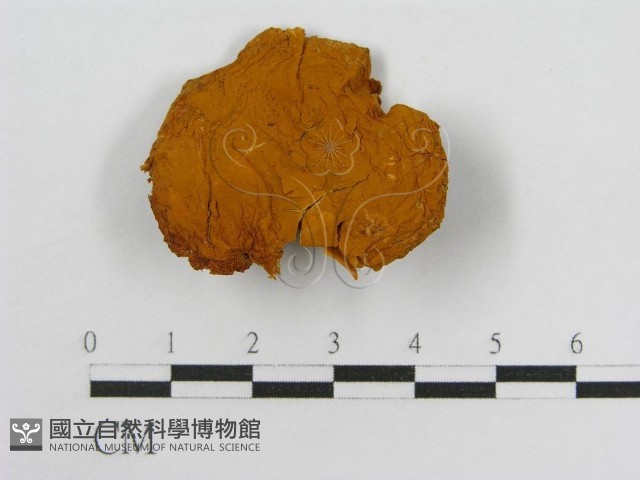 登錄號:F0013977藏品圖，第3張