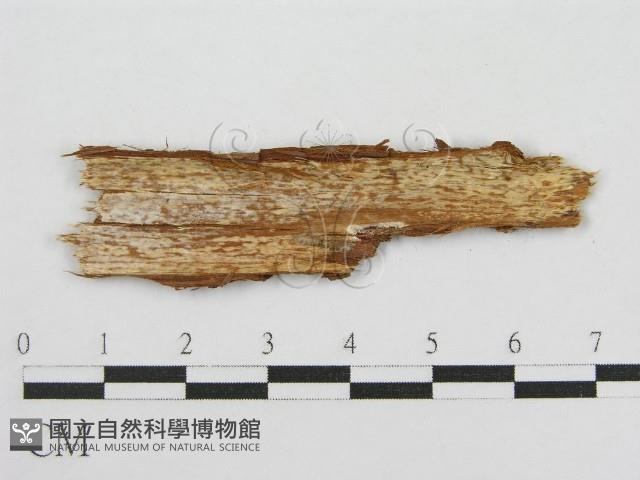 登錄號:F0016677藏品圖，第3張