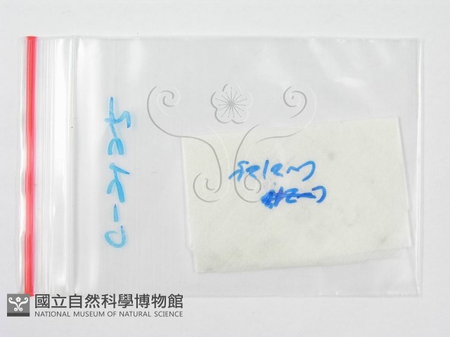 登錄號:F0007477藏品圖，第3張
