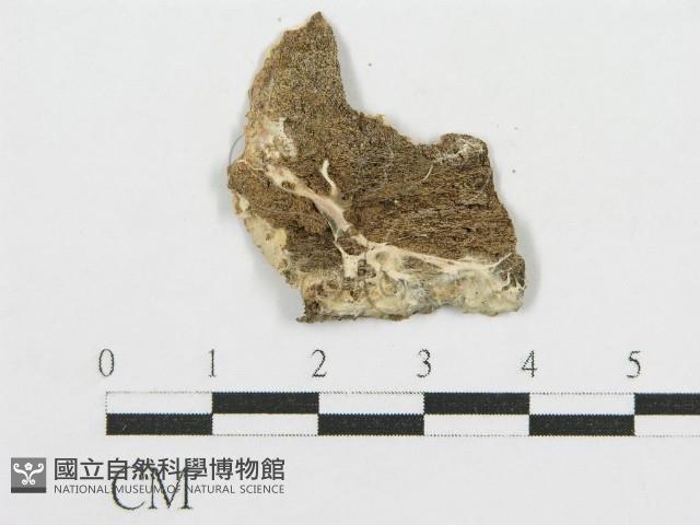 登錄號:F0009777藏品圖，第3張