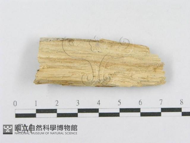 登錄號:F0013777藏品圖，第3張