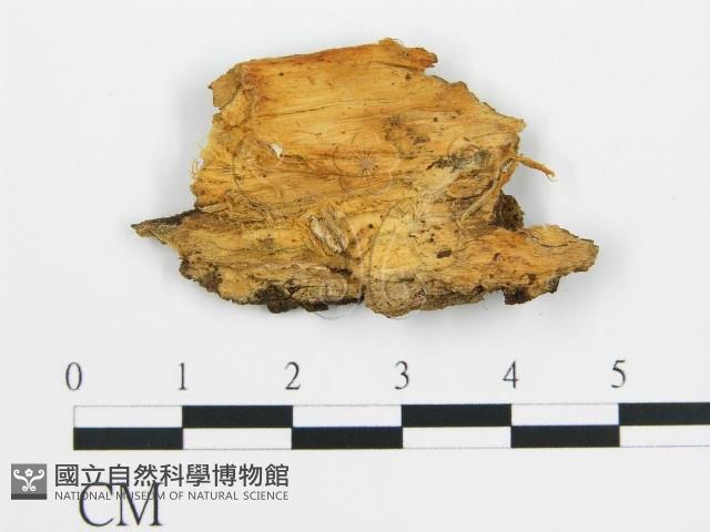 登錄號:F0013577藏品圖，第3張