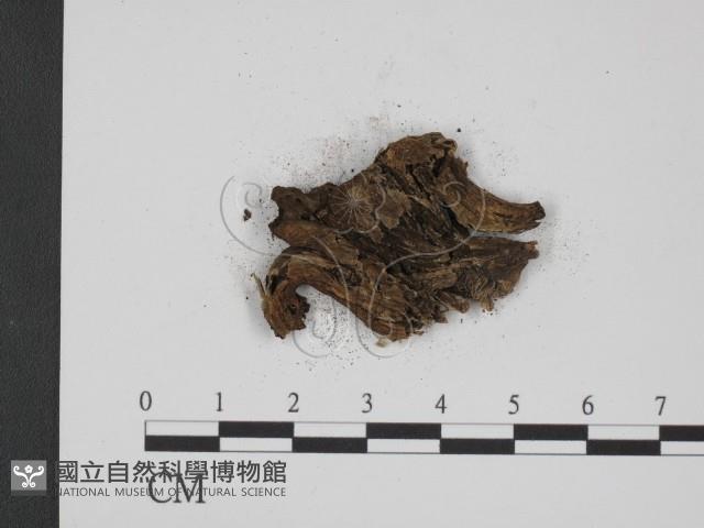 登錄號:F0008177藏品圖，第3張