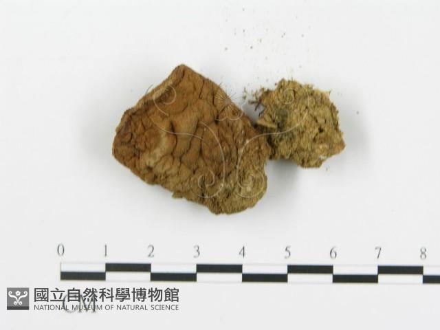登錄號:F0016177藏品圖，第3張