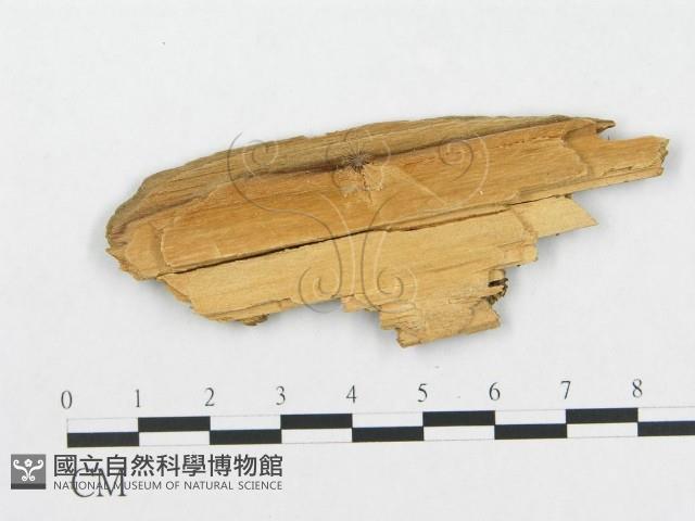 登錄號:F0014077藏品圖，第3張
