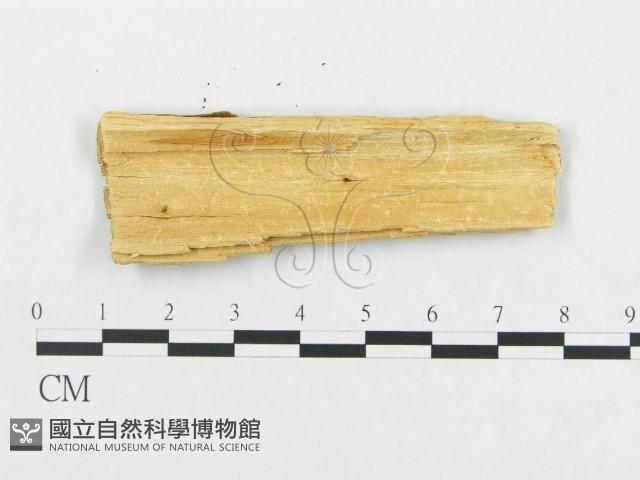 登錄號:F0007077藏品圖，第3張