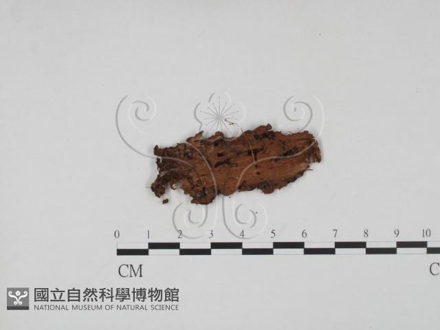 登錄號:F0011377藏品圖，第3張